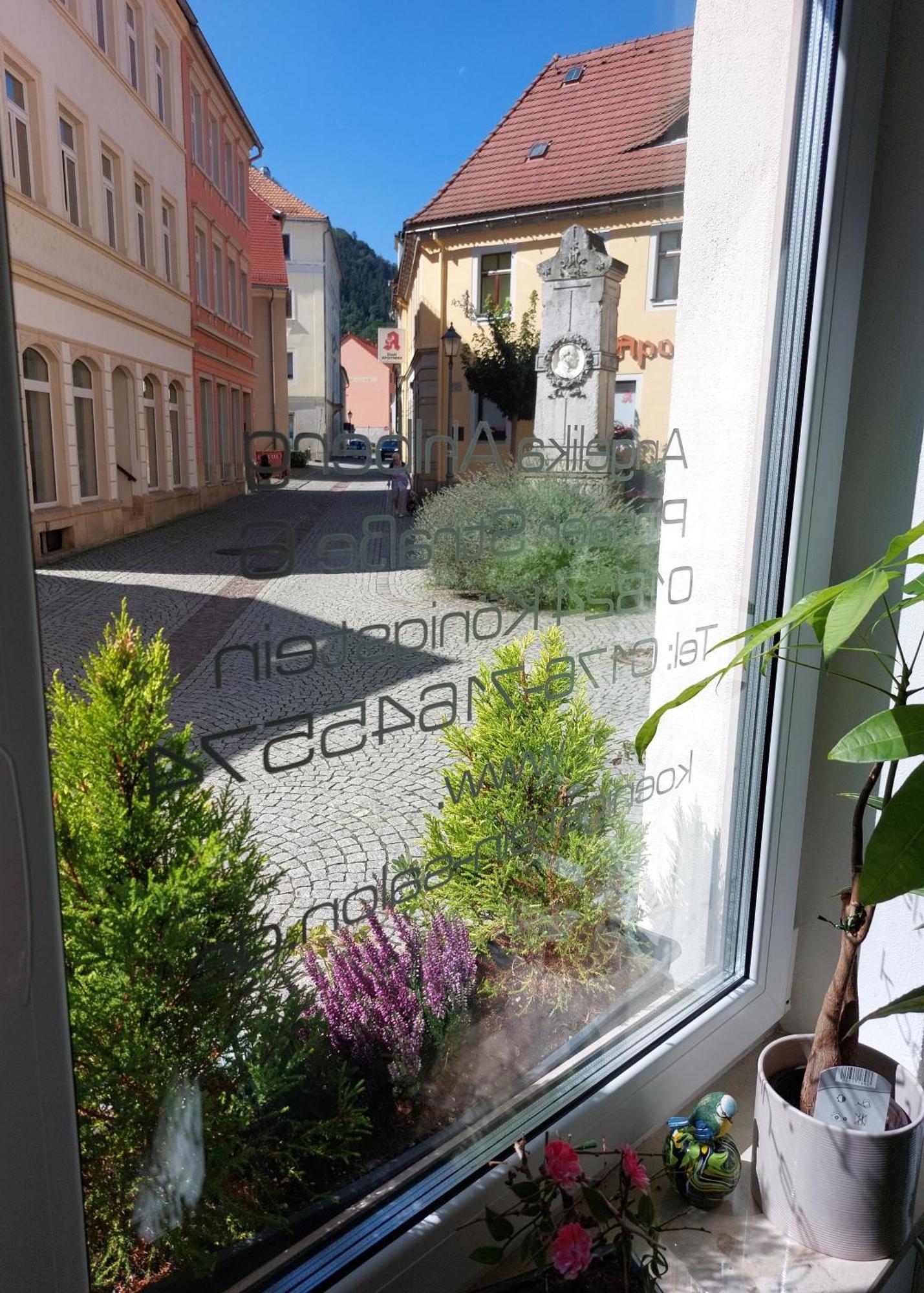 Luxurioese Ferienwohnungen Кёнигштайн-ан-дер-Эльбе Экстерьер фото